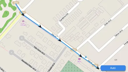 Śledzenie w czasie rzeczywistym